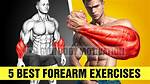“His Forearms Are as Big as His Thighs”: Although Impressed, Former Bodybuilder Writes off Brazilian Competitor for His ‘Disproportionate Physique’