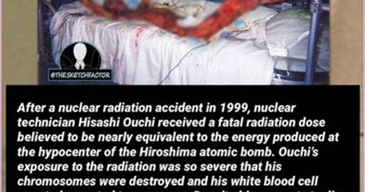 Hisashi Real Pictures: a Deep Dive into the Visual World of Hisashi