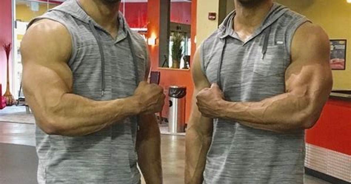 Hodgetwins