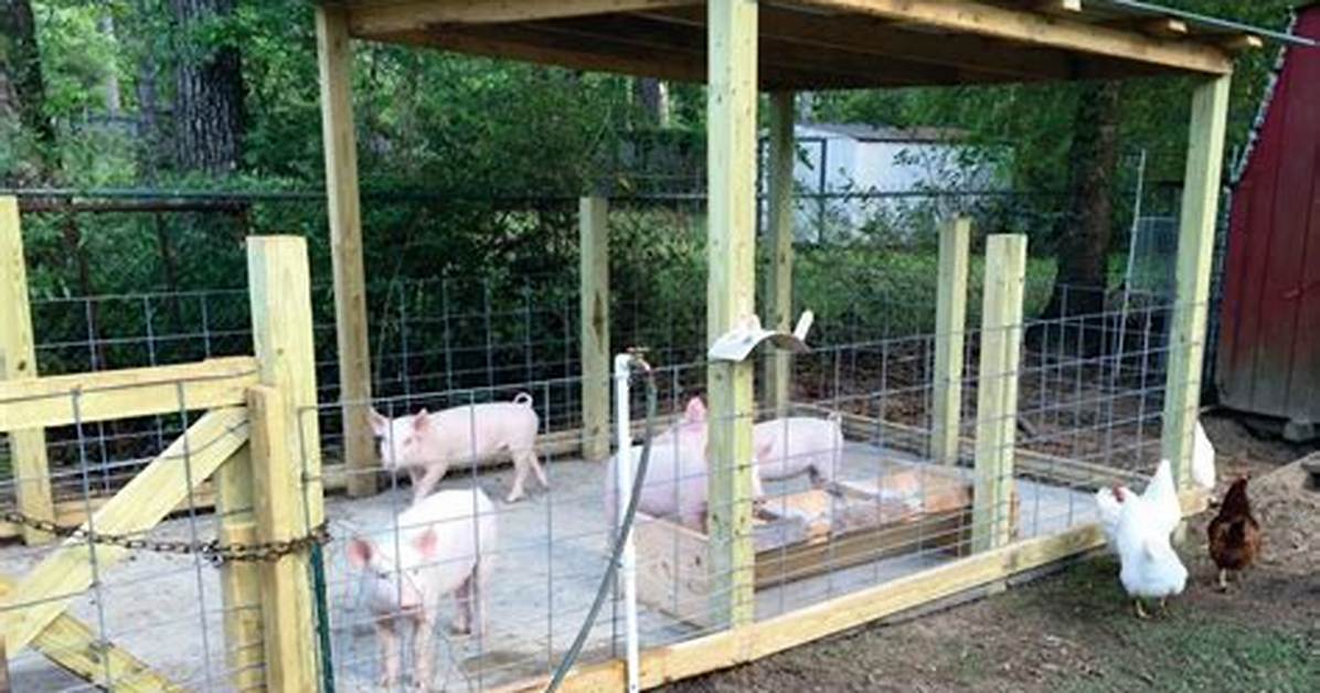 Hogs' Pen