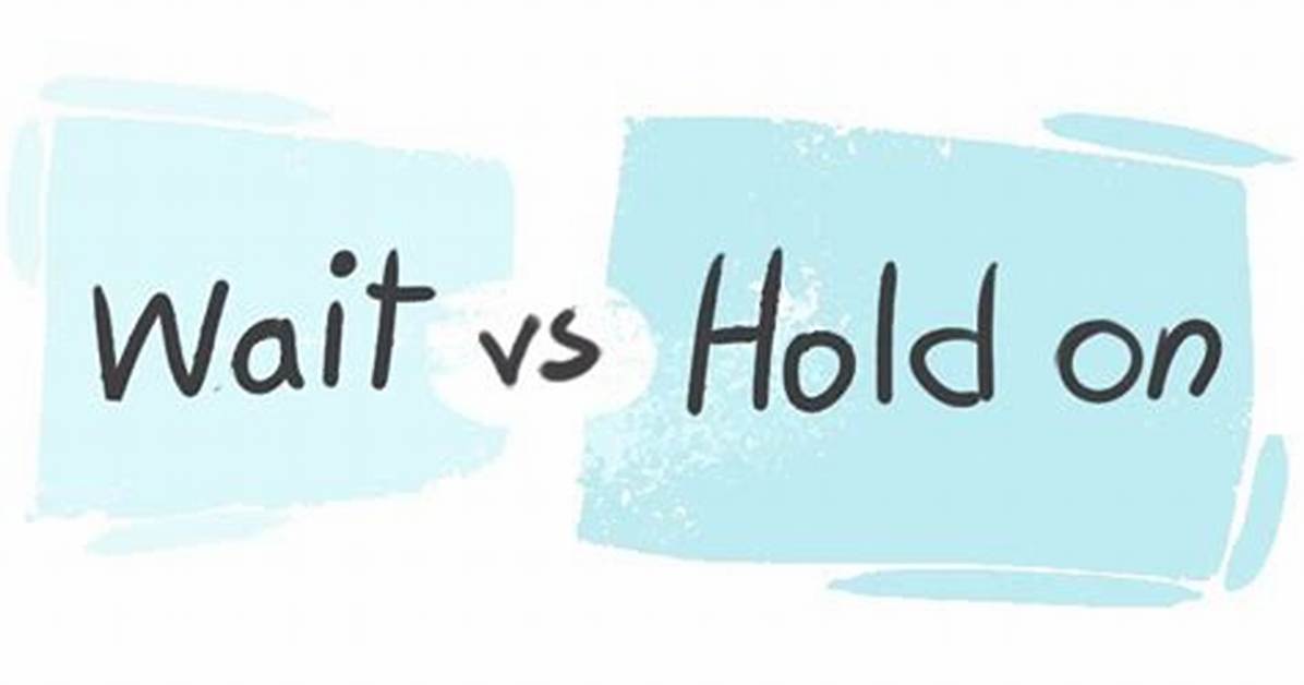 Hold on a ___! (Wait!)