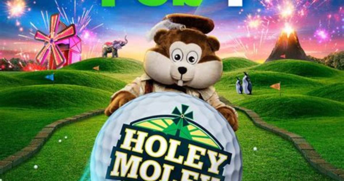 Holey Moley Network