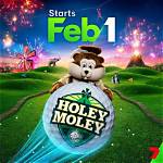 Holey Moley Network