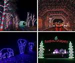 Holiday Light Displays and Live Nativities 2023