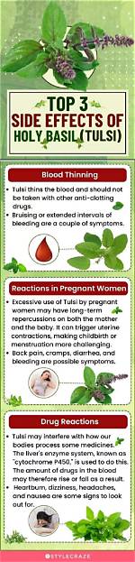 Holy Basil Side Effects