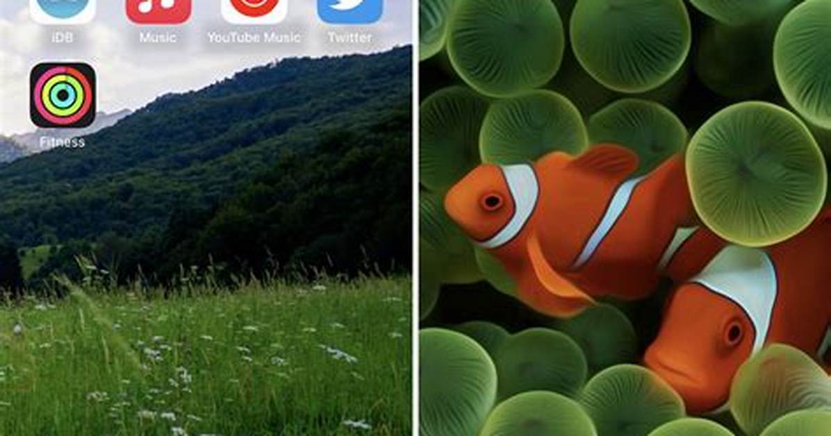 Home Screen Image