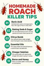 Homemade Roach Killer