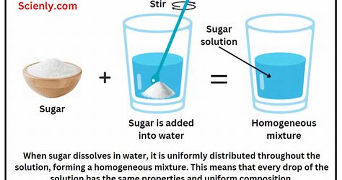 Homogeneous Solution