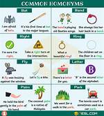 Homonym Examples