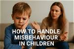 How Accurate Is Misbehaviour?