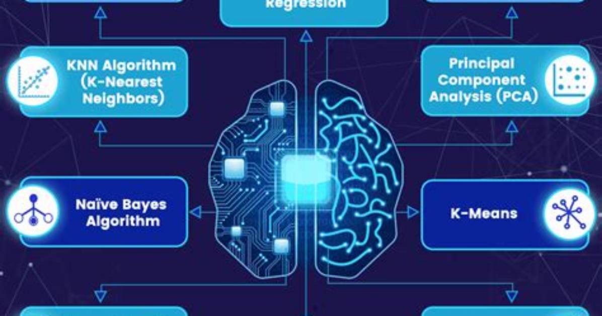 How Algorithms Are Made?