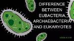 How Archaebacteria Differ from Eubacteria?