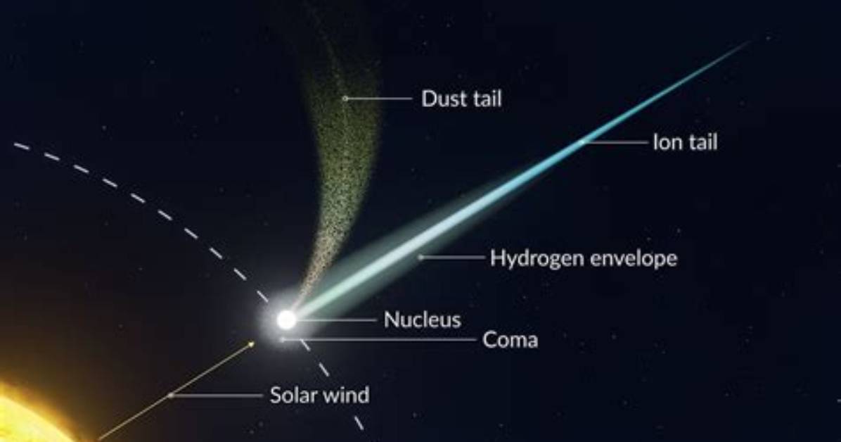 How Are Comets Named?