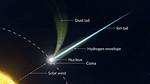 How Are Comets Named?