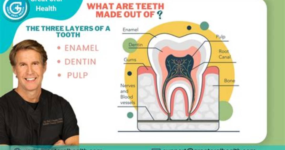 How Are Teeth Made