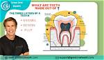 How Are Teeth Made
