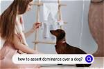 How Assert Dominance over Dog?