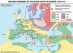 How Bubonic Plague Spread?