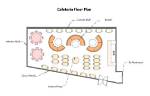 How Cafeteria Plans Work?
