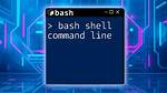 How Can I Call a Shell Command in My Perl Script?