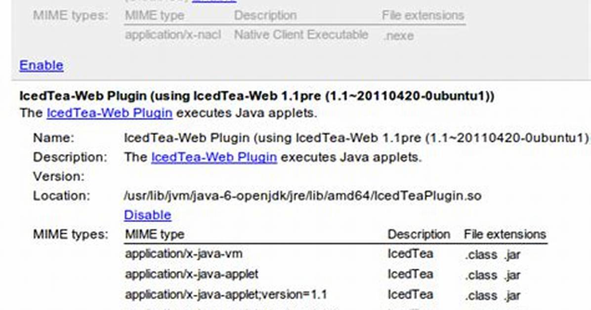 How Can I Enable Java in Chromium? [Duplicate]