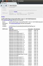 How Can I Enable Java in Chromium? [Duplicate]
