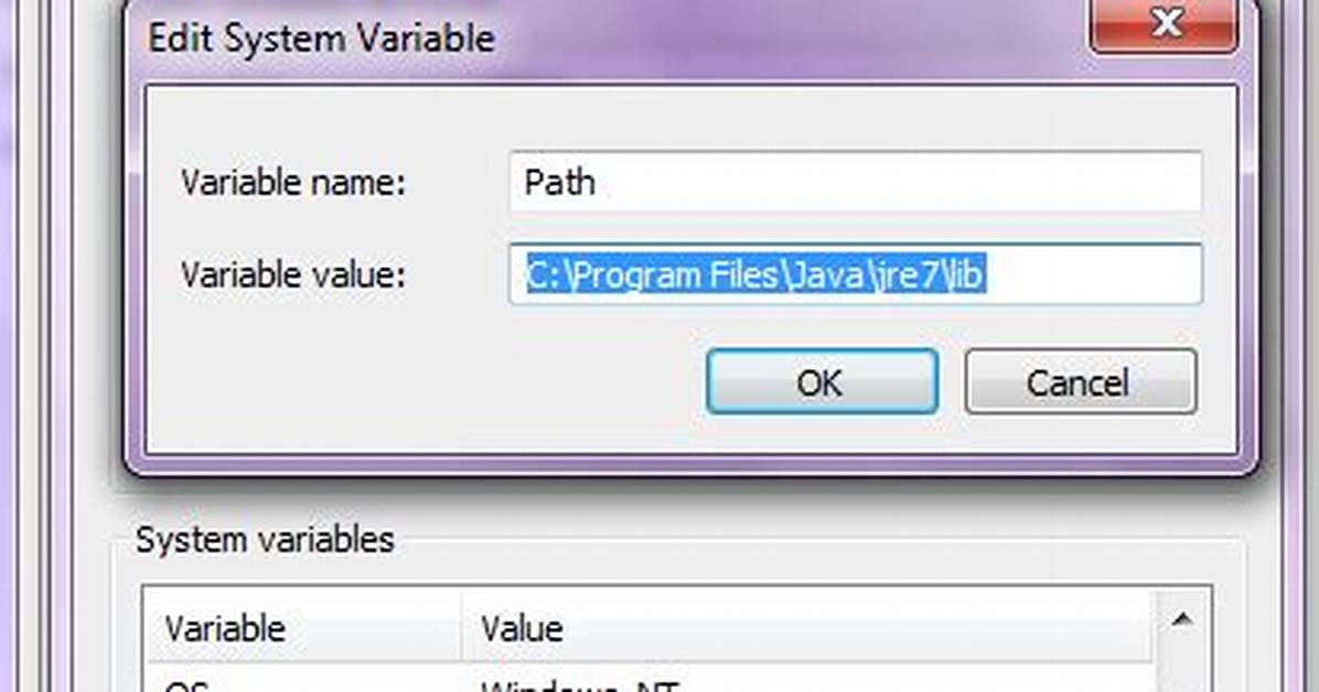 How Can I Get System Variable Value in Java?