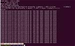 How Can I Install Both Lib32Ncurses5-Dev and Libncurses5-Dev: I386