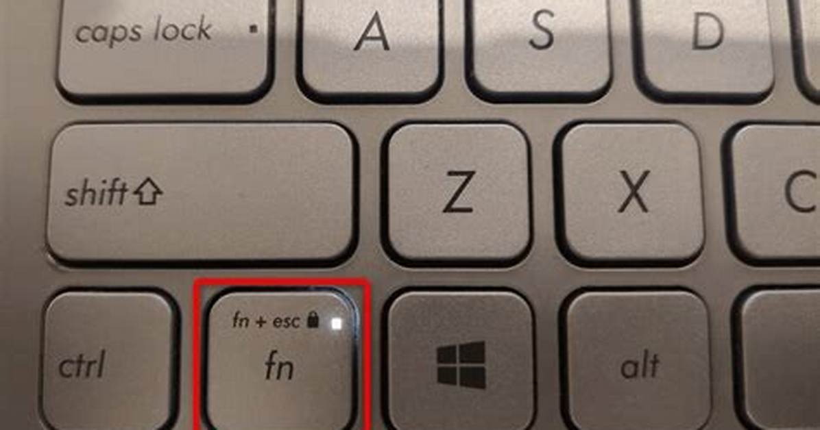 How Can I Toggle the Fn (Function) Key?