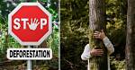 How Can Stop Deforestation?