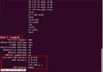 How Check Dns Connection Linux?