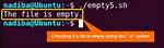 How Check If File Is Empty Linux?