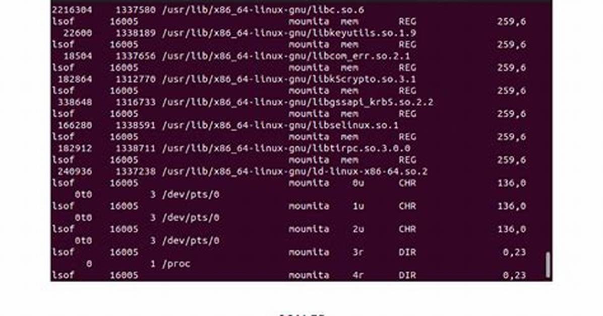 How Check Lsof Linux?