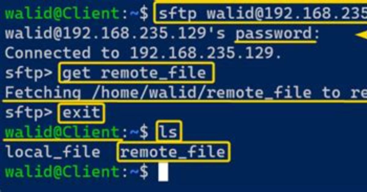 How Check Sftp Process in Linux?