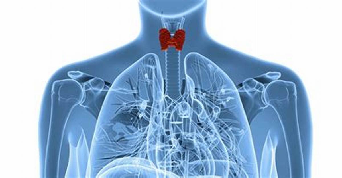 How Common Are Thyroidectomies?