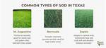 How Common Is Sod