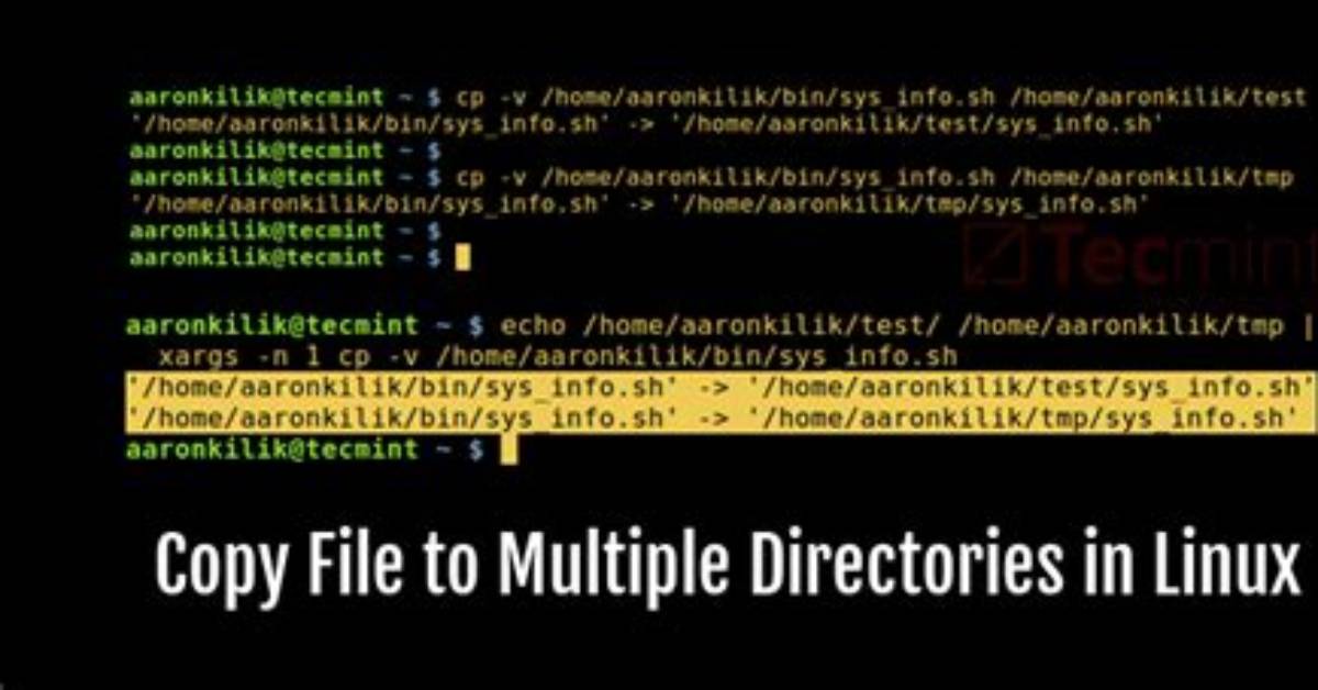 How Copy File from Server Linux?