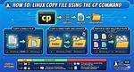 How Copy File Without Using Cp Command in Linux?