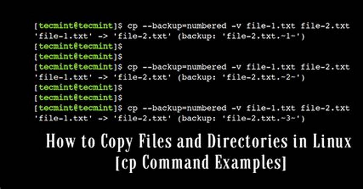 How Cp Command Works in Linux?