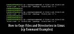 How Cp Command Works in Linux?