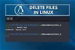 How Delete All Files in Linux?