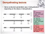 How Demyelination Affect Conduction?