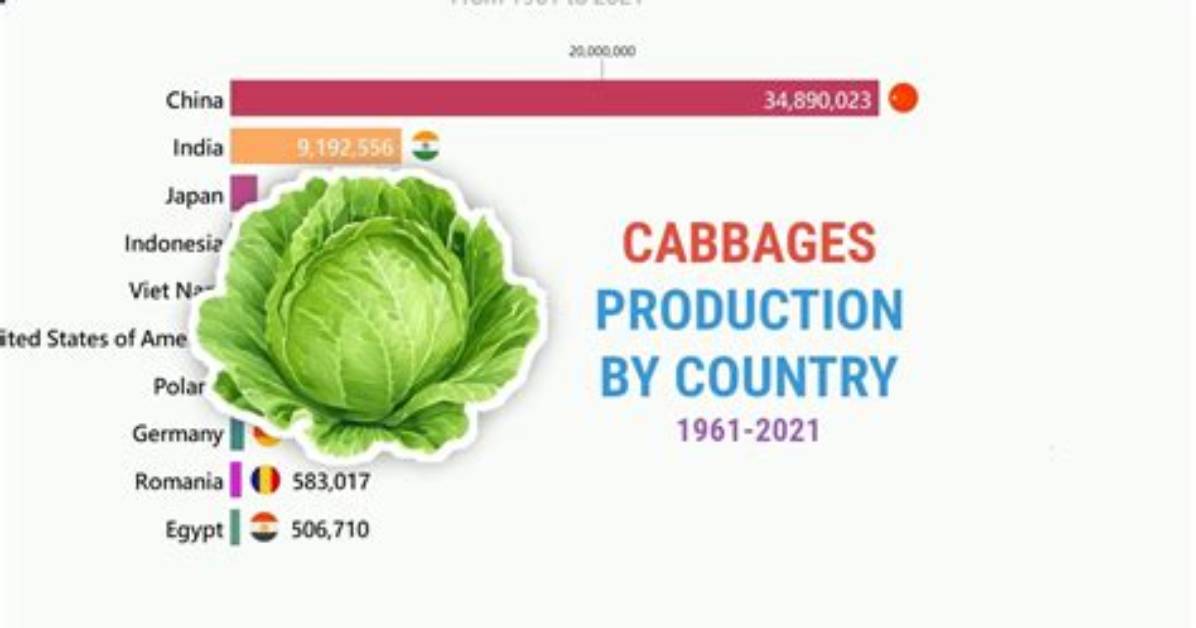 How Did Cabbage Evolve