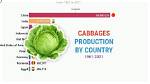 How Did Cabbage Evolve