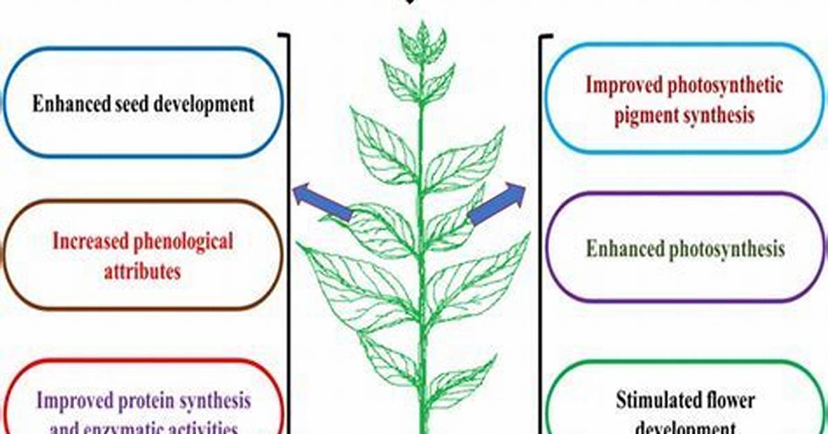 How Do Acids Affect Plants
