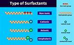 How Do Anionic Surfactants Work?
