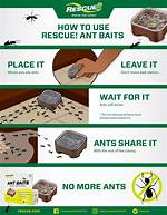 How Do Ant Traps Work