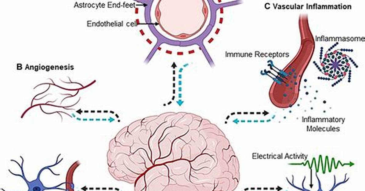 How Do Antiepileptics Decrease Neuronal Excitability?