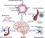 How Do Antiepileptics Decrease Neuronal Excitability?