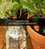 How Do Automatic Unpackers Work?